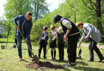 глава Кардымовского района вместе со школьниками посадил фруктовые деревья в «Саду памяти» на территории Тюшинской школы - фото - 6